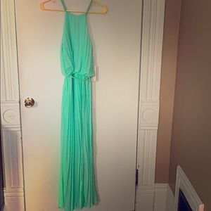 Mint pleated maxi dress.